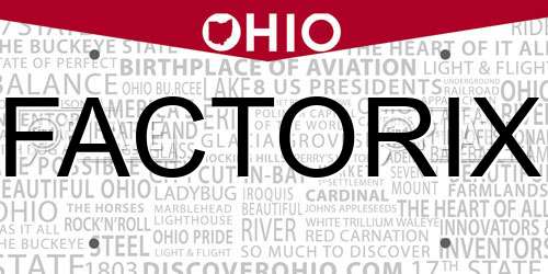 FACTORIX Ohio License Plate