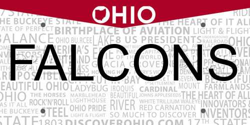 FALCONS Ohio License Plate