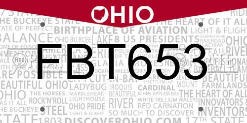 FBT653 Ohio License Plate