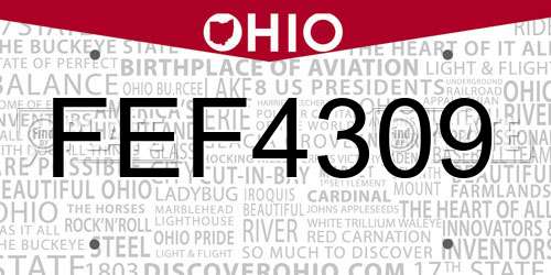 FEF4309 Ohio License Plate