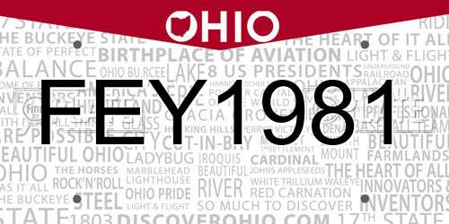 FEY1981 Ohio License Plate