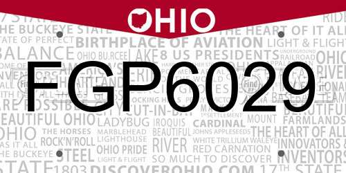 FGP6029 Ohio License Plate