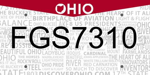 FGS7310 Ohio License Plate
