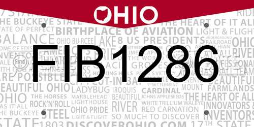FIB1286 Ohio License Plate