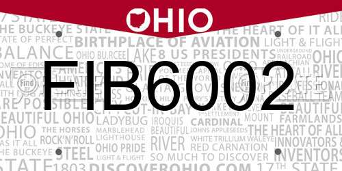 FIB6002 Ohio License Plate