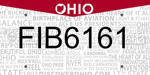 FIB6161 Ohio License Plate