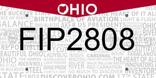 FIP2808 Ohio License Plate