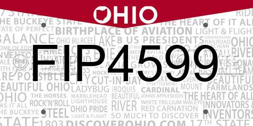 FIP4599 Ohio License Plate