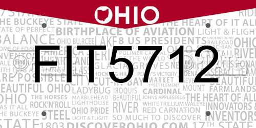 FIT5712 Ohio License Plate