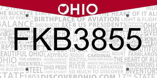 FKB3855 Ohio License Plate