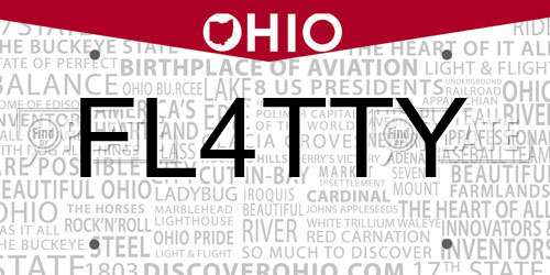 FL4TTY Ohio License Plate
