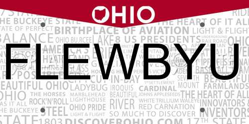 FLEWBYU Ohio License Plate