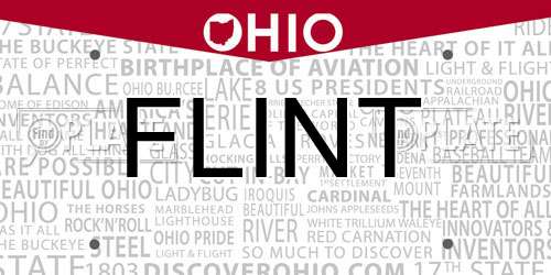 FLINT Ohio License Plate
