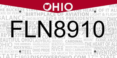 FLN8910 Ohio License Plate