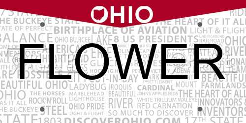 FLOWER Ohio License Plate