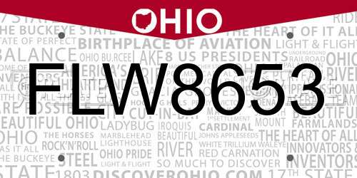 FLW8653 Ohio License Plate