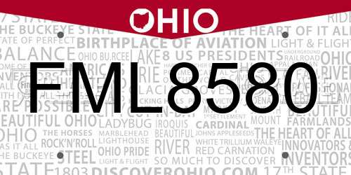 FML8580 Ohio License Plate