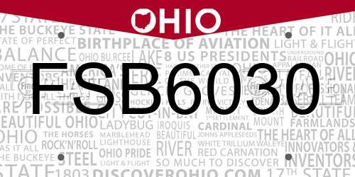 FSB6030 Ohio License Plate