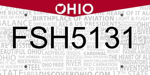 FSH5131 Ohio License Plate