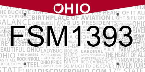 FSM1393 Ohio License Plate