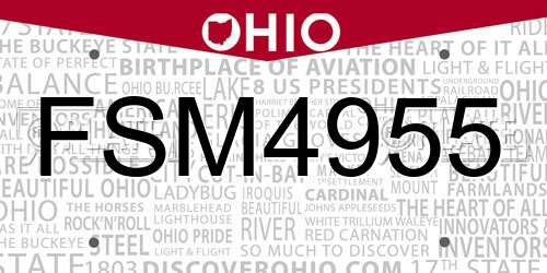 FSM4955 Ohio License Plate