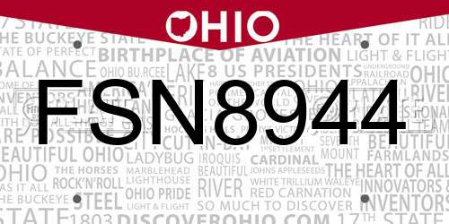 FSN8944 Ohio License Plate