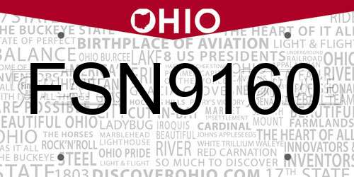 FSN9160 Ohio License Plate