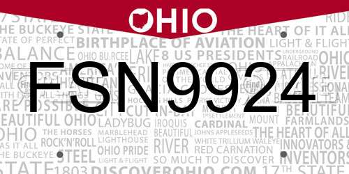 FSN9924 Ohio License Plate