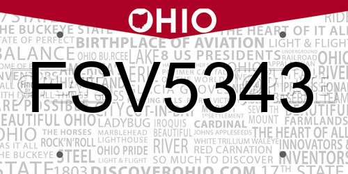 FSV5343 Ohio License Plate