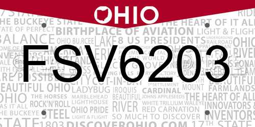 FSV6203 Ohio License Plate