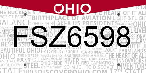 FSZ6598 Ohio License Plate