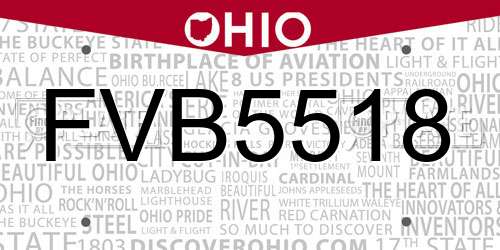 FVB5518 Ohio License Plate