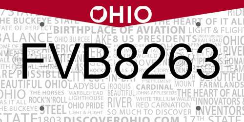 FVB8263 Ohio License Plate