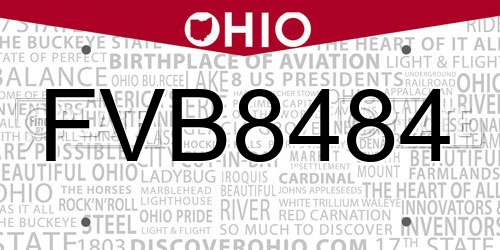 FVB8484 Ohio License Plate
