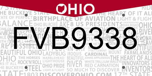 FVB9338 Ohio License Plate