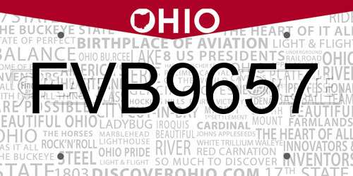 FVB9657 Ohio License Plate