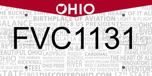 FVC1131 Ohio License Plate