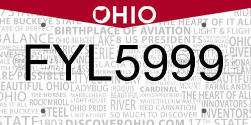 FYL5999 Ohio License Plate