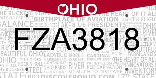 FZA3818 Ohio License Plate