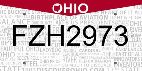 FZH2973 Ohio License Plate