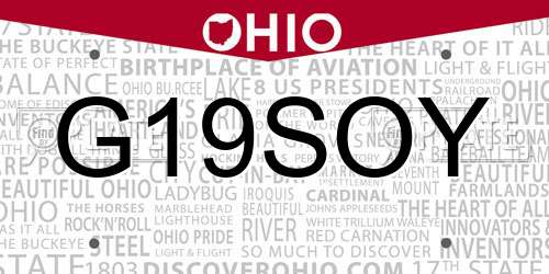 G19SOY Ohio License Plate