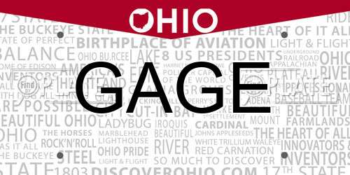 GAGE Ohio License Plate