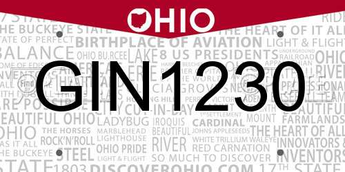 GIN1230 Ohio License Plate