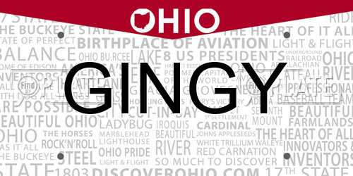 GINGY Ohio License Plate
