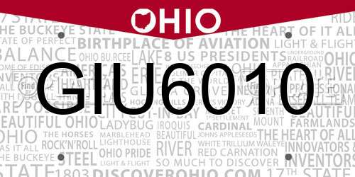 GIU6010 Ohio License Plate