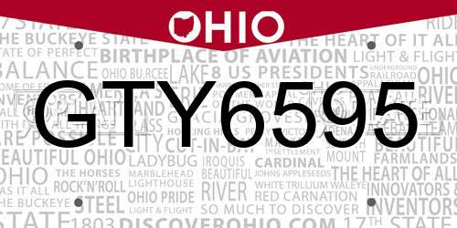 GTY6595 Ohio License Plate