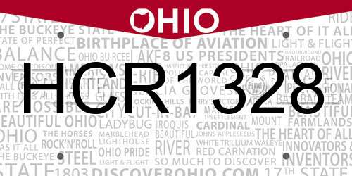 HCR1328 Ohio License Plate