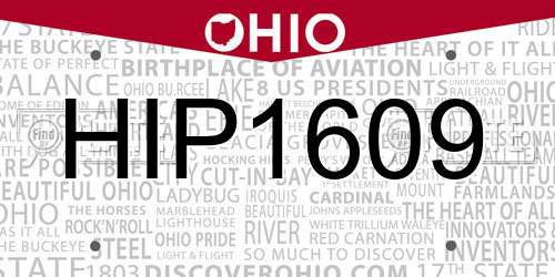 HIP1609 Ohio License Plate