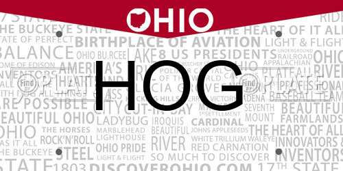 HOG Ohio License Plate