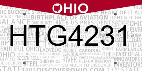 HTG4231 Ohio License Plate